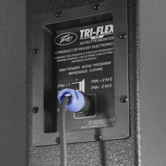Peavey Triflex II- 230EU Portable PA System Peavey Triflex II- 230EU Portable PA System
