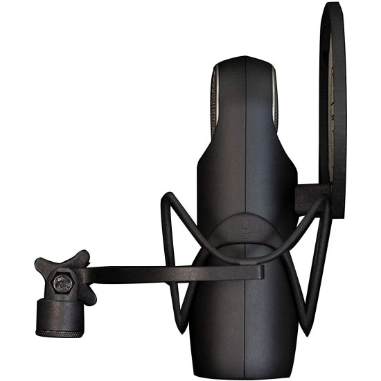 Aston Microphones Element Microphone Bundle Aston Microphones Element Microphone Bundle