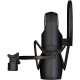 Aston Microphones Element Microphone Bundle Aston Microphones Element Microphone Bundle