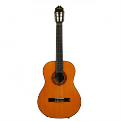 Washburn C40USM Classical Series Acoustic Guitar