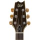 ESP LTD TL-6 Thinline Acoustic Guitar, Natural Finish
