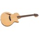 ESP LTD TL-6 Thinline Acoustic Guitar, Natural Finish