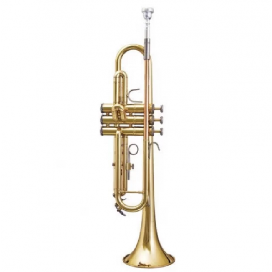 Bach TR301H Bb Trumpet - Clear Lacquer- DISPLAY UNIT