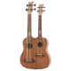 Ortega Tenor Size Double Neck Ukulele/ Uke Bass Natural - Hydra-BSTE