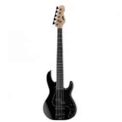 ESP LTD - AP Series 5-String Bass, Black Finish