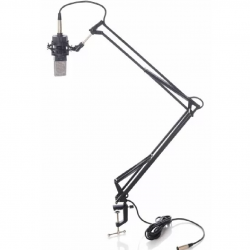 Bespeco MSRA10 Ext Arm for Mic Stand
