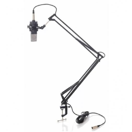 Bespeco MSRA10 Ext Arm for Mic Stand