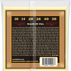 Ernie Ball P02047 Earthwood Silk and Steel Extra-Soft Acoustic Guitar Strings, 10-50 Gauge