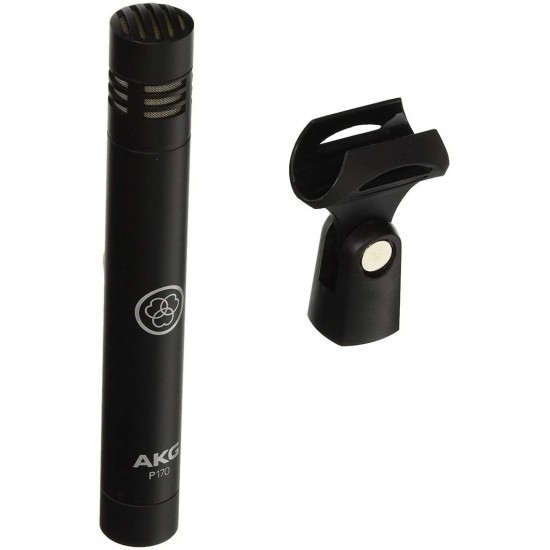 AKG P170 High-Performance Instrument Microphone