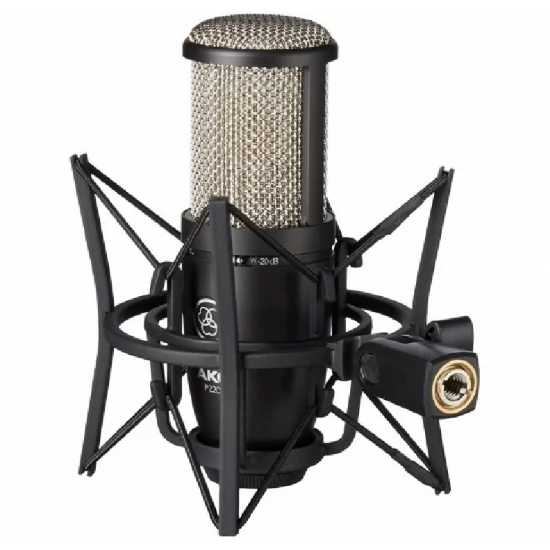 AKG P220 Professional Large-dual-Diaphragm True-Condenser Microphone.