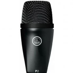 AKG P2 High-performance Dynamic Bass Microphone