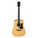 Ibanez V50 Jampack Acoustic Guitar Package Natural Finish  Includes Tuner, Strap, Picks & Gig Bag 