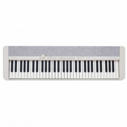Casio CT-S1WE 61-key Portable Keyboard with Power Adapter