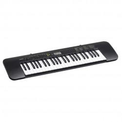 Casio CTK-240 Musical Keyboard with Power Adapter