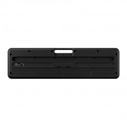 Casio LK-S250 Casiotone 61-Key Portable Keyboard with Power Adapter