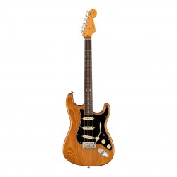Fender 0113900763 American Professional II Stratocaster Electric Guitar - Natural
