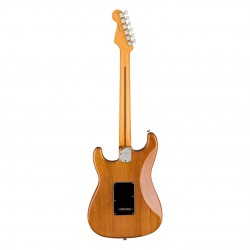 Fender 0113900763 American Professional II Stratocaster Electric Guitar - Natural