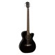 Fender 0970183006 Acoustic Electric Concert Bass Guitar - Black