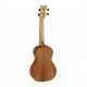 ORTEGA Acacia Ukulele Concert Size Acacia Back & Top Including Gig Bag