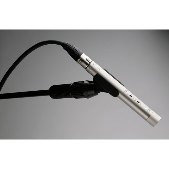 Rode NT55 Multi-Pattern Small-diaphragm Condenser Microphone