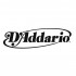 D 'Addario