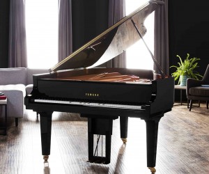 Grand Pianos