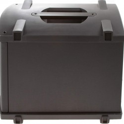 Bose B2- Bass Module Black