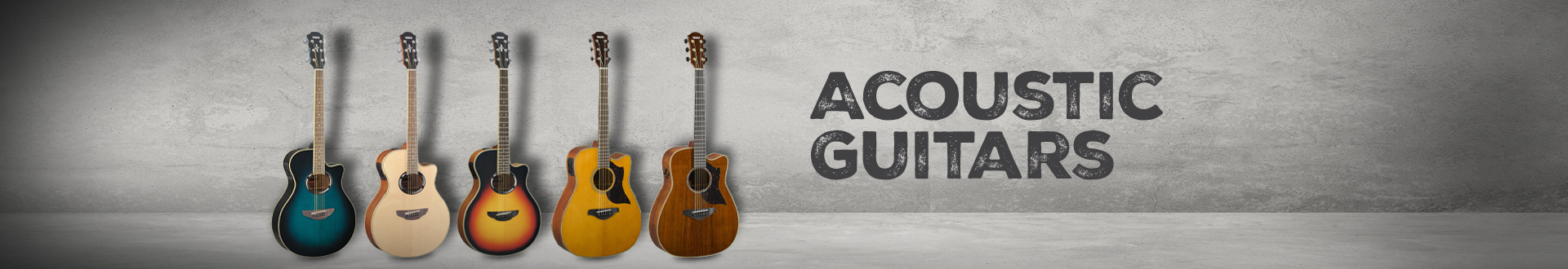 Acoustic Guitars