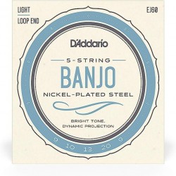D'Addario EJS60 Stainless Steel Banjo Strings - .010-.020 Light 5-string