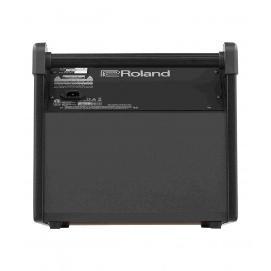 Roland PM-100 Personal Monitor for V-Drums