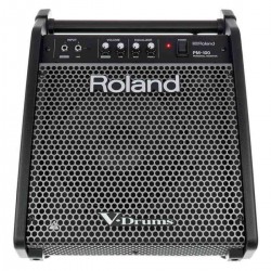 Roland PM-100 Personal Monitor for V-Drums