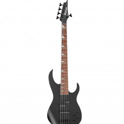 Ibanez Standard RGB305-BKF Bass Guitar - Black Flat