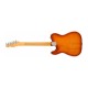 Fender 0113942747 American Professional II Telecaster Electric Guitar - Sienna Sunburst 