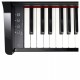 Roland GP-3 Compact Digital Grand Piano - Polished Ebony