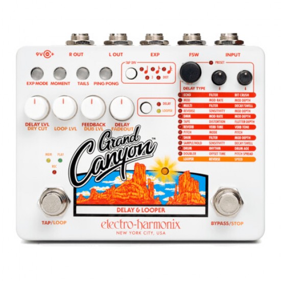 Electro-Harmonix Grand Canyon Delay and Looper Pedal