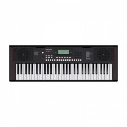 Roland E-X10 Portable Keyboard