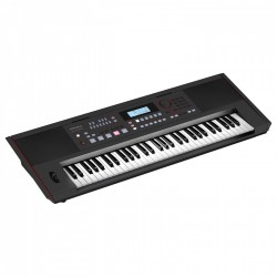 Roland E-X50 61-Key Portable Arranger Keyboard