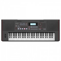 Roland E-X50 61-Key Portable Arranger Keyboard