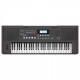 Roland E-X50 61-Key Portable Arranger Keyboard