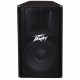 Peavey Dpe115 Passive Speaker