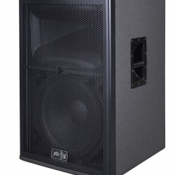 Peavey SP 2BX 2-Way Passive PA Speaker Cabinet