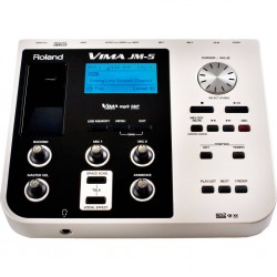 Roland VIMA JM-5 Entertainment Module