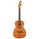 Fender Highway Series Parlor Acoustic-electric Guitar - Mahogany Fender Highway Series Parlor Acoustic-electric Guitar - Mahogany