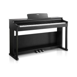 Donner DDP-100 88-Keys Digital Piano – Black