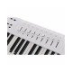 Arturia KeyLab Essential mk3 88-key Keyboard Controller - White Arturia KeyLab Essential mk3 88-key Keyboard Controller - White