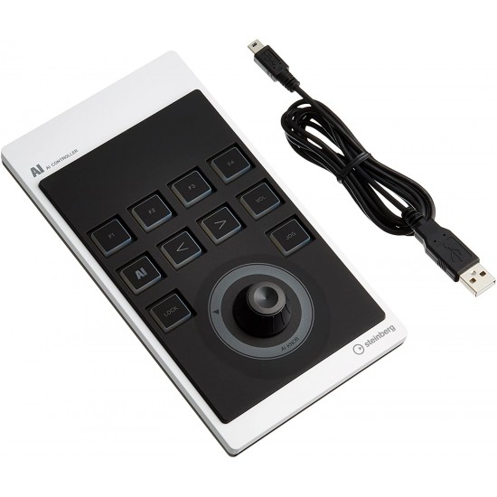 Steinberg CMCAI USB Controller