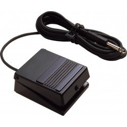 Roland Pedal Switch - DP-2