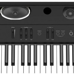 Roland FP-90 Digital Piano - Black