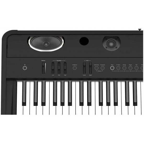 Roland FP-90 Digital Piano - Black