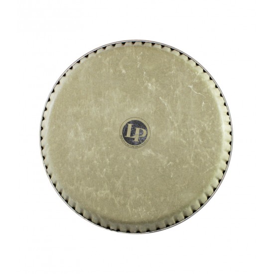 Latin Percussion LP265BP 11.75" Fiberskyn Conga Head 